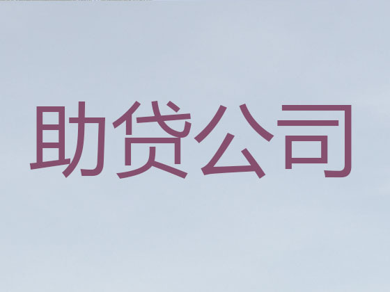 泰安贷款公司-银行信用贷款
